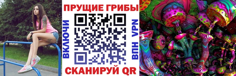 Галлюциногенные грибы Psilocybine cubensis  Бугульма 